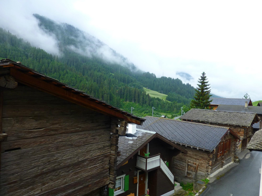 Hotel-Restaurant Drei Tannen主图