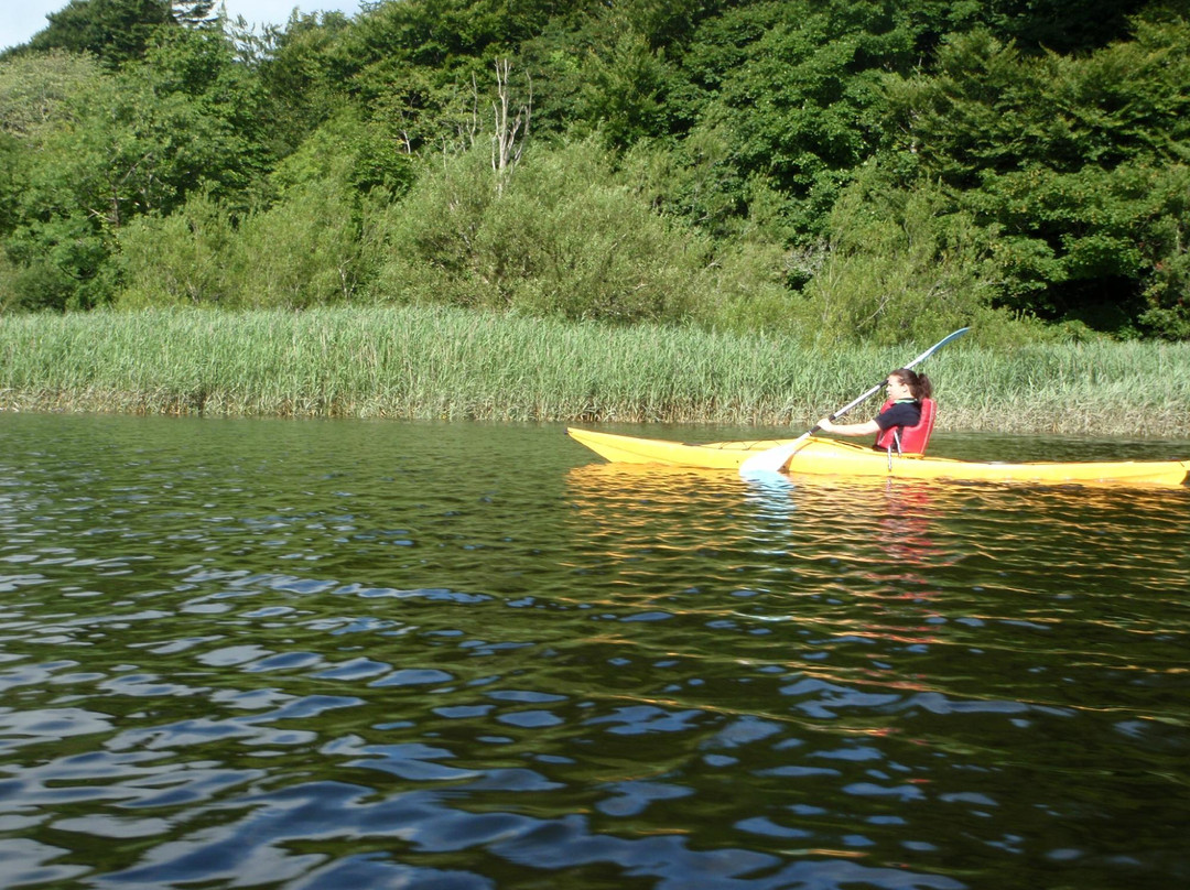 Paddle & Pedal景点图片