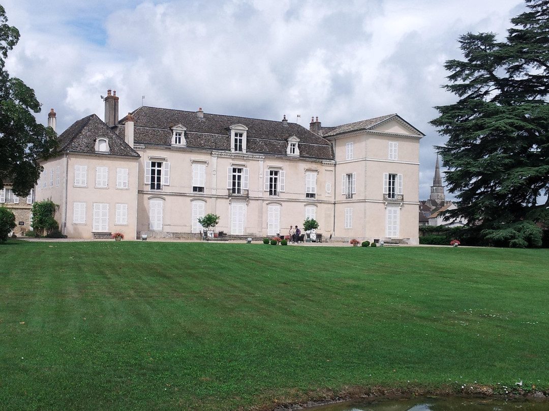 Chateau de Meursault景点图片