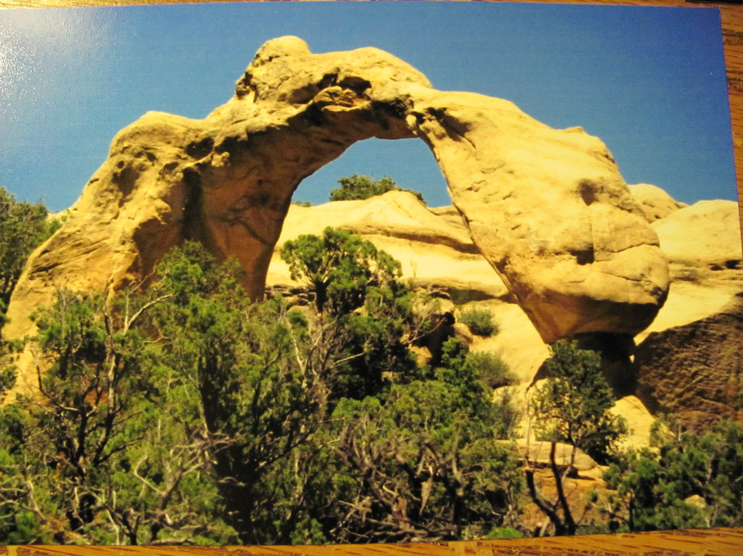 Aztec Sandstone Arches-Aztec必去景点