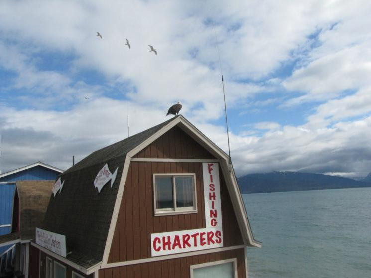 霍默沙角-荷马必去景点