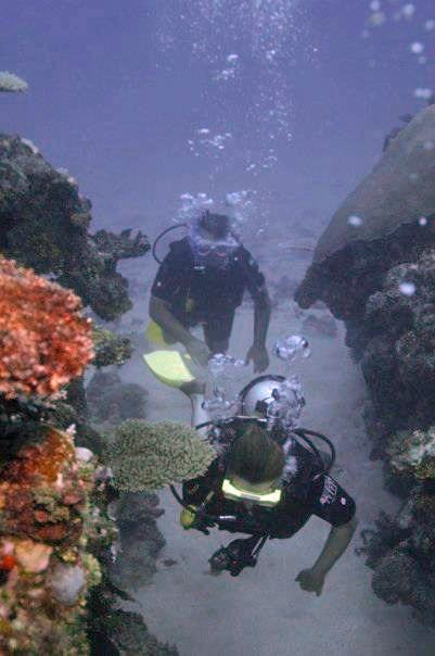 Whitetip Marine Adventures - Fiji-丹娜努岛必去景点