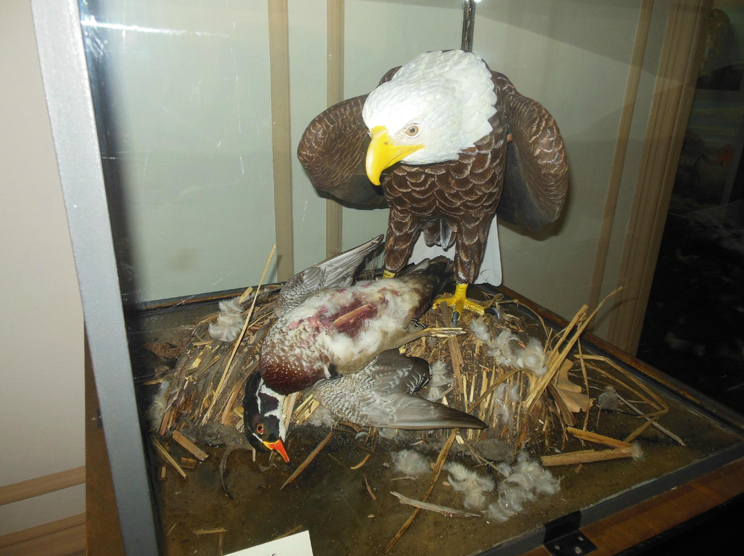 Wyeth-Tootle Mansion-圣约瑟夫必去景点