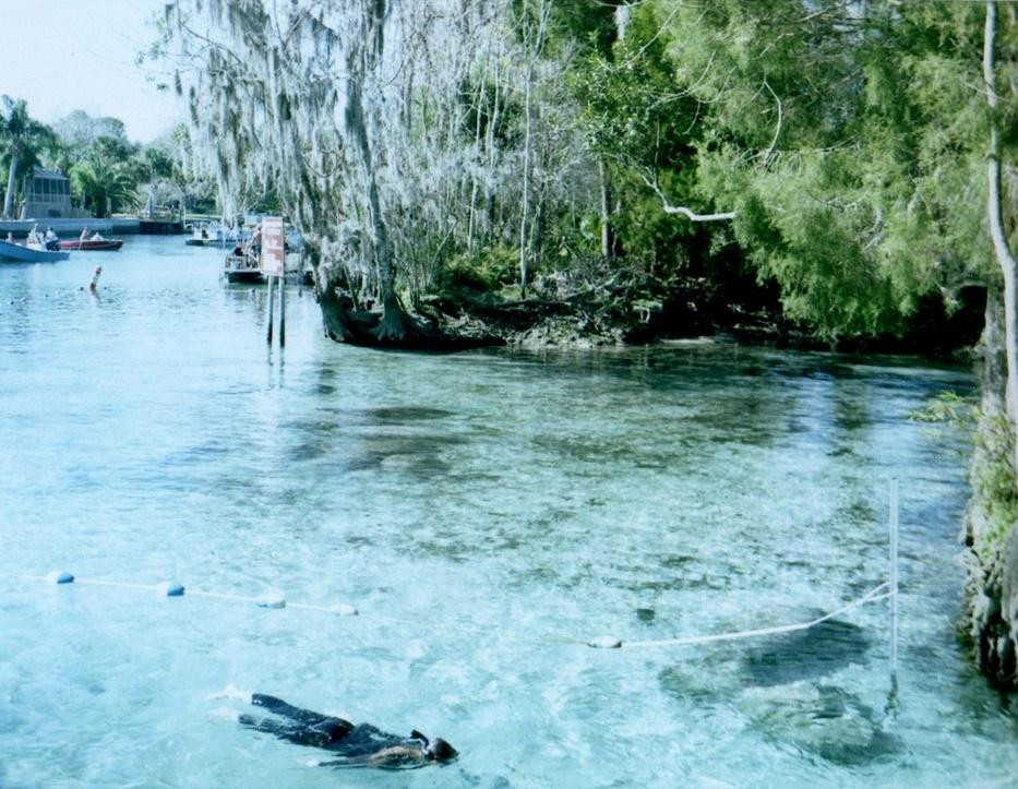 Three Sisters Springs-克里斯特尔里弗必去景点