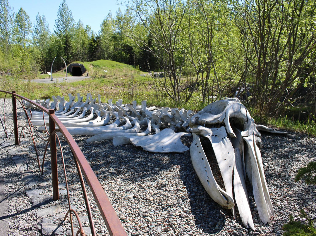 阿拉斯加原始遗迹中心-安克雷奇必去景点