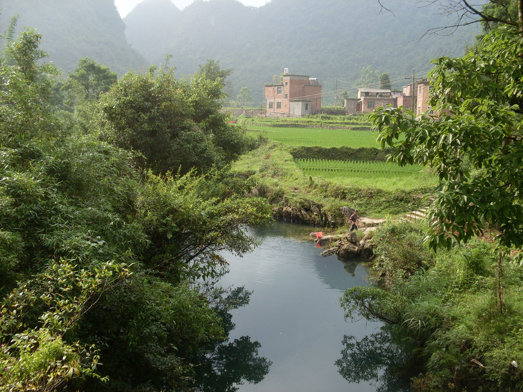 茂兰保护区景点图片