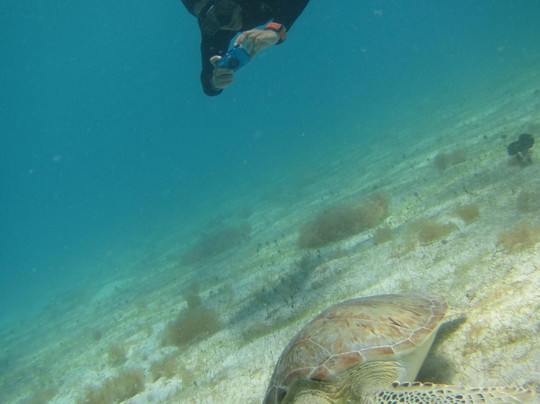 Fury Charters-夏洛特阿马利亚必去景点