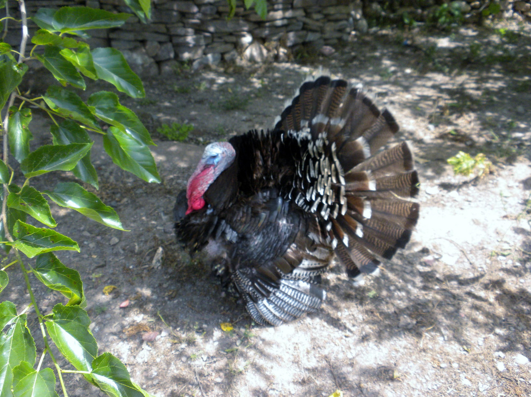 Melitour-伊斯坦布尔必去景点