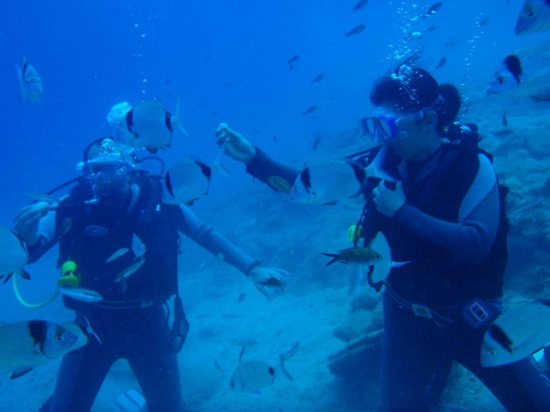 Pelagos Dive Centre景点图片