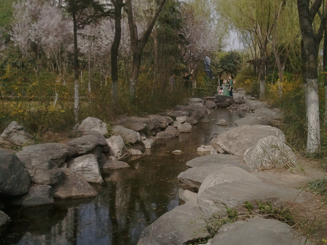 丰庆公园-西安市必去景点