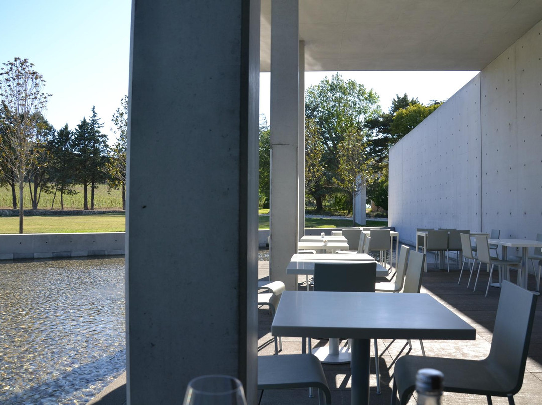 拉科斯特酒庄-Le Puy-Sainte-Reparade必去景点