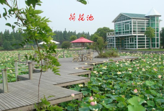 安横沙岛酒店主图