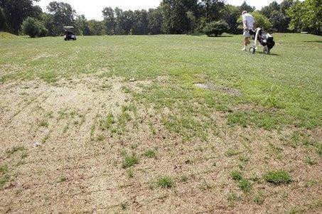 Stony Plain Golf Course景点图片