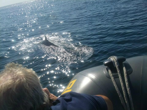 Black Runner-阿尔布赞拉必去景点