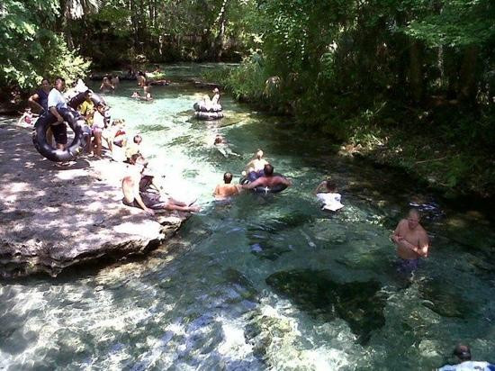 Rock Springs Run-Apopka必去景点