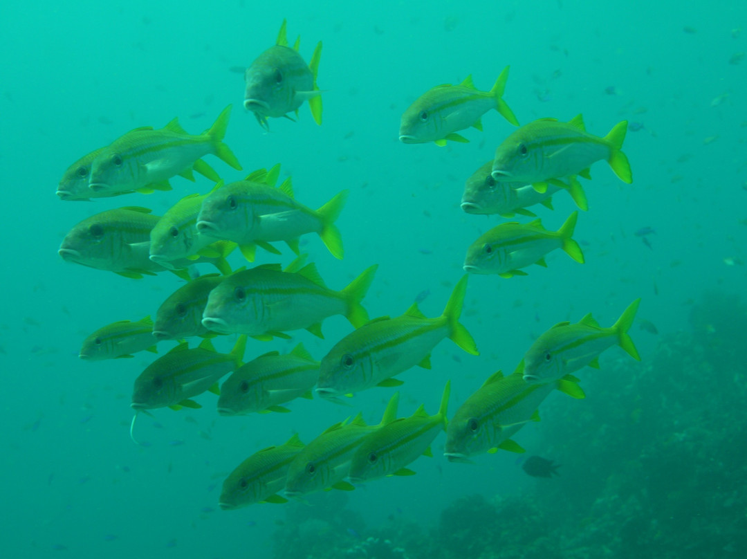 Boracay Island Divers-长滩岛必去景点