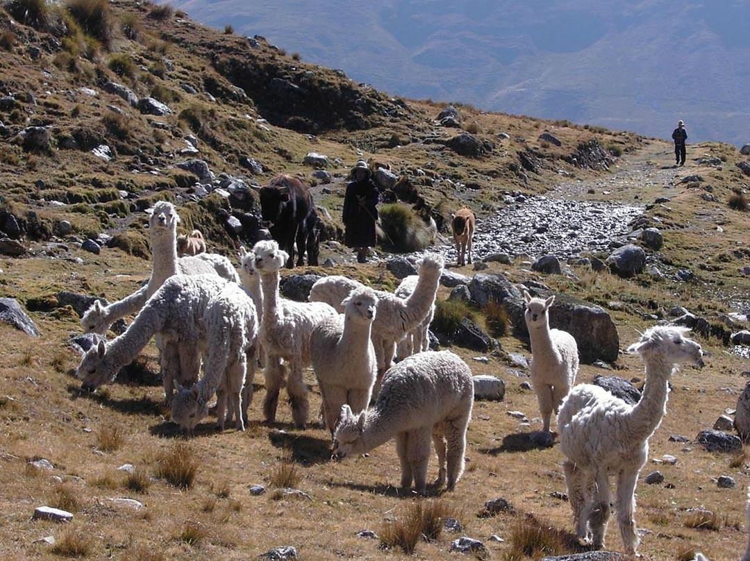 Alpamayo-瓦斯卡兰国家公园必去景点