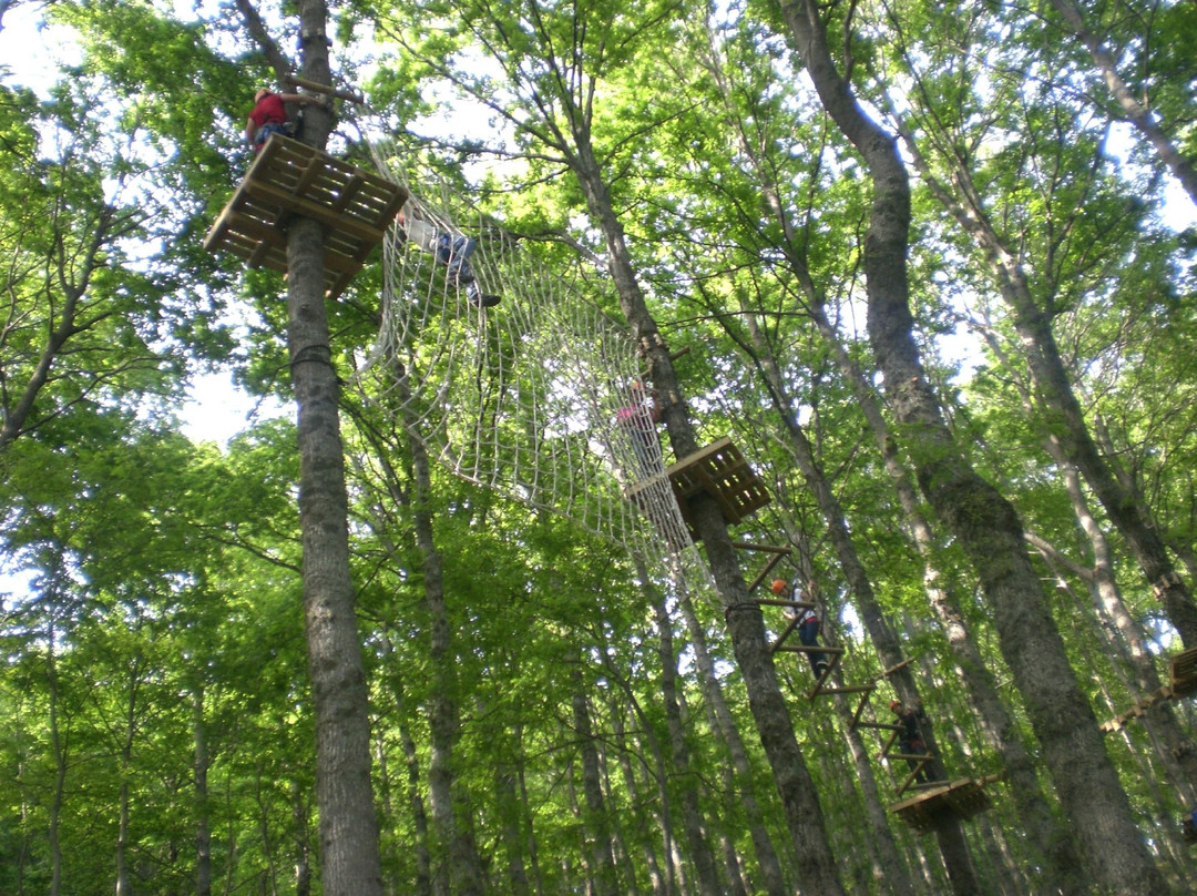 Nebrodi Adventure Park-Longi必去景点