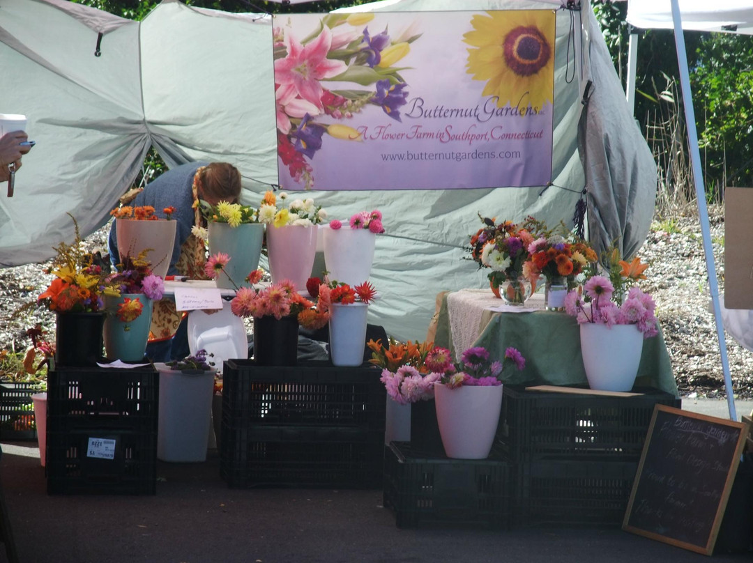 Westport Farmers Market-Westport必去景点