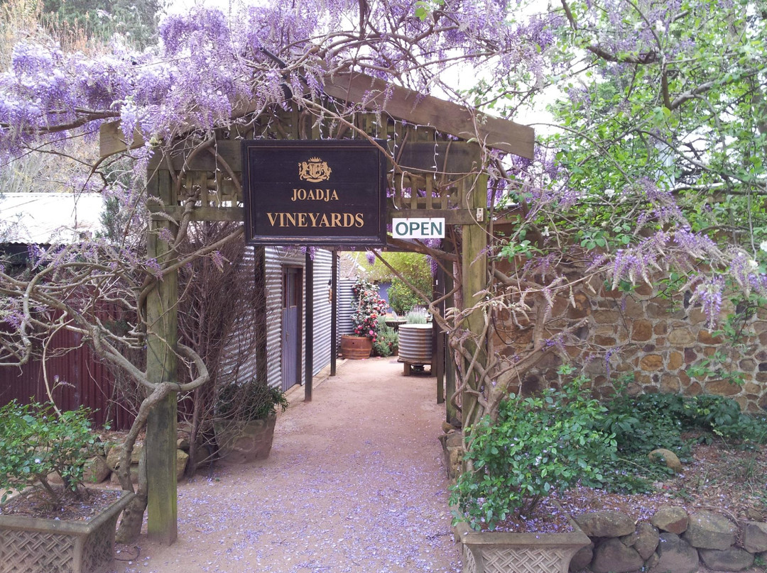 Joadja Vineyard-Berrima必去景点