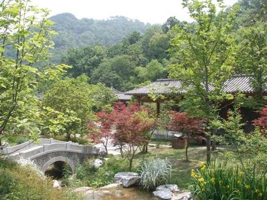 杭州龙井山园茶文化村-杭州市必去景点