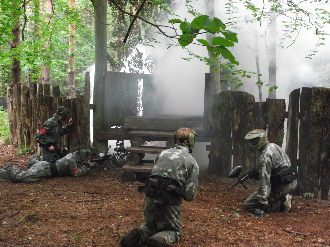 Top Dog Paintball Ltd-诺威奇必去景点