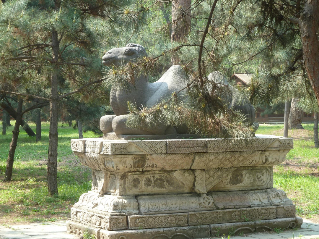 沈阳东陵公园景点图片