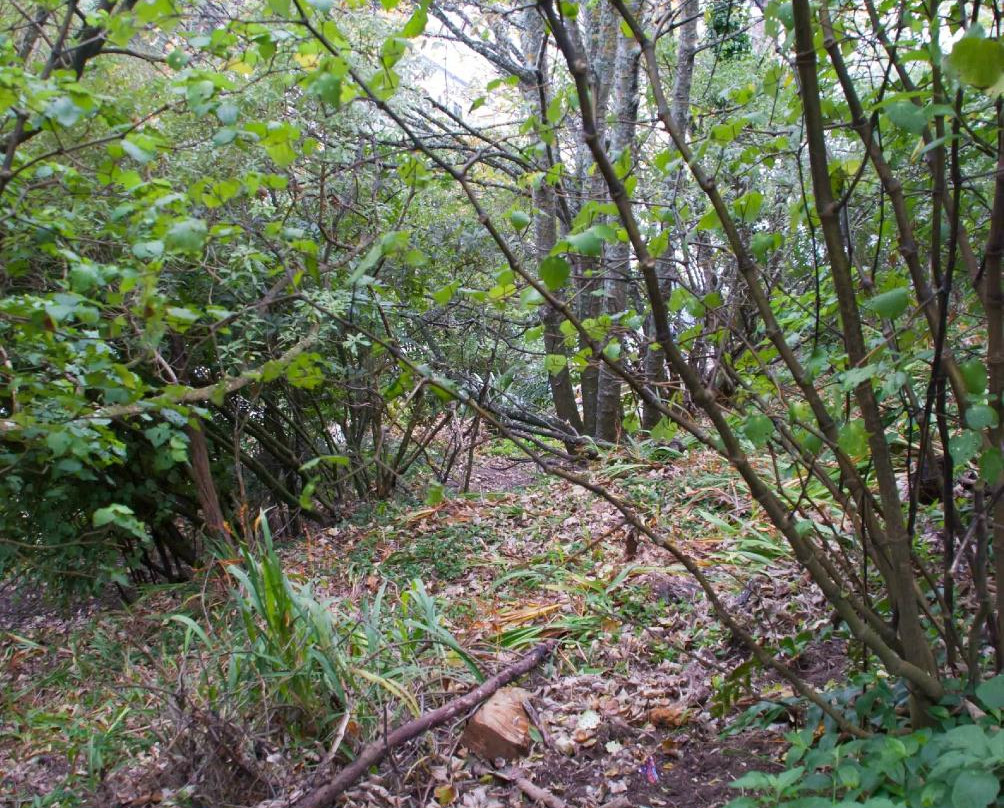 Tinakori Hill-惠灵顿必去景点