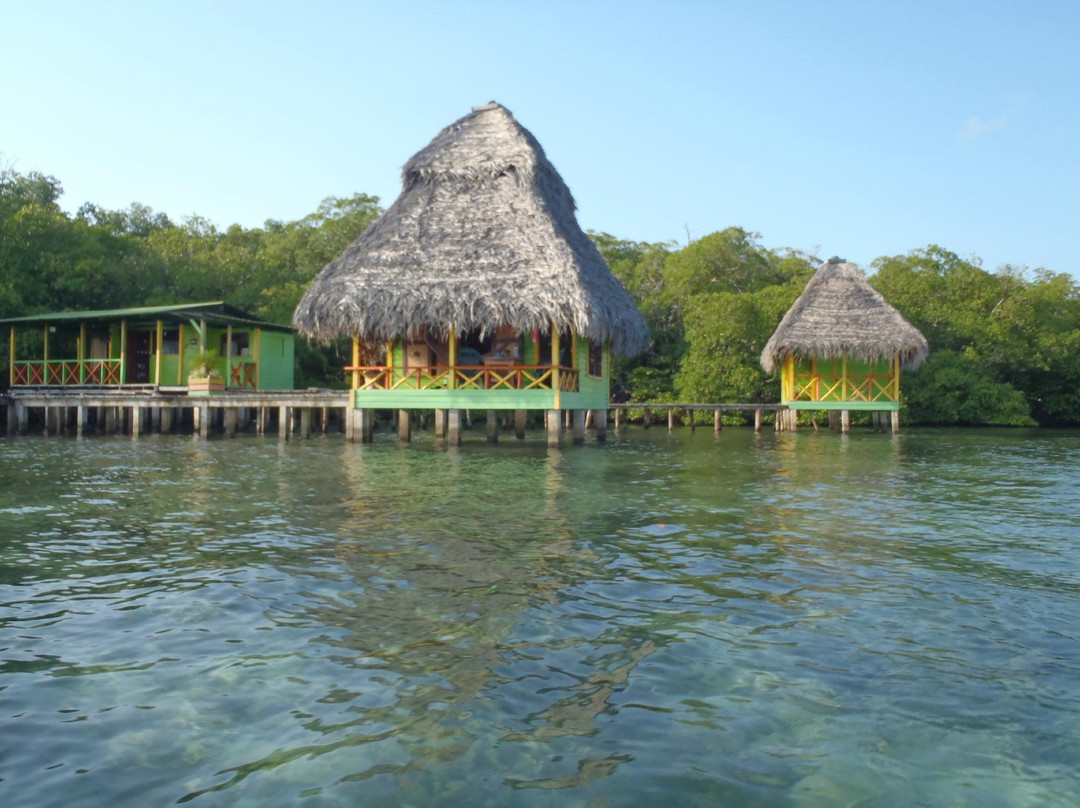 Coral Cay Cabins