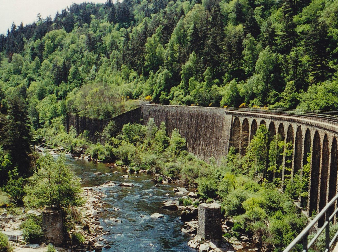 Train Touristique des Gorges de l'Allier景点图片
