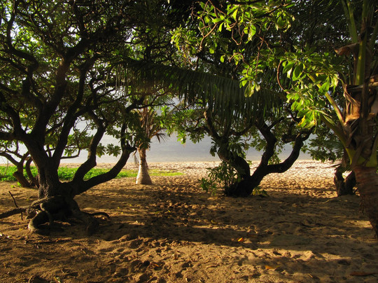 Vakaloa Beach Resort主图