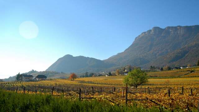 Urlaub Ohnewein-官方