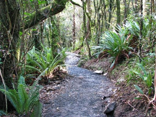 Ōrokonui Ecosanctuary-但尼丁必去景点