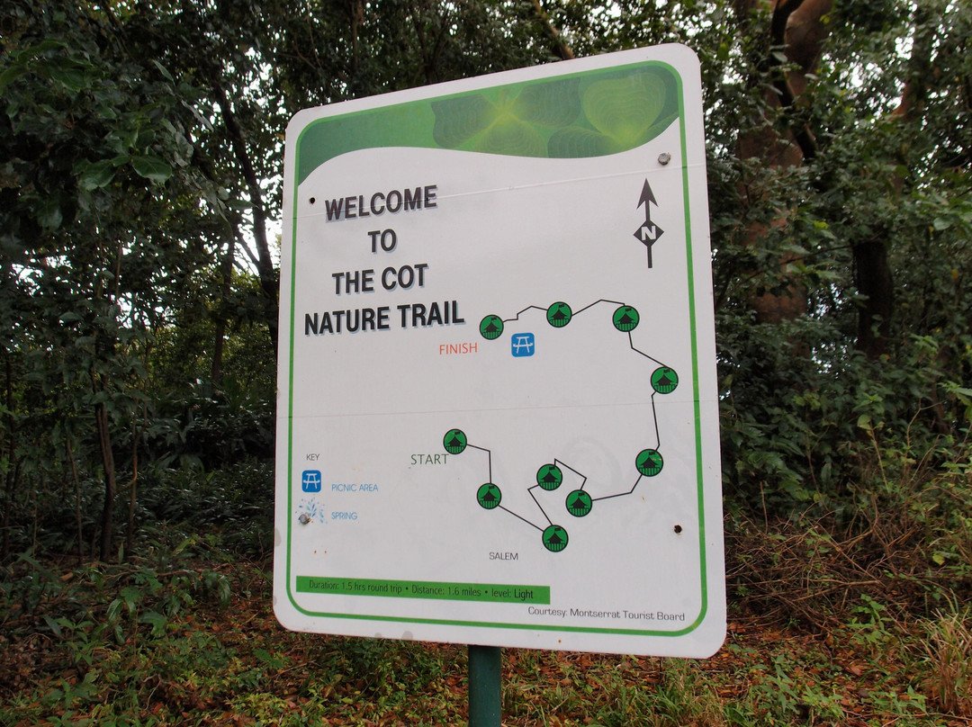 Cot Trail-蒙特塞拉特必去景点