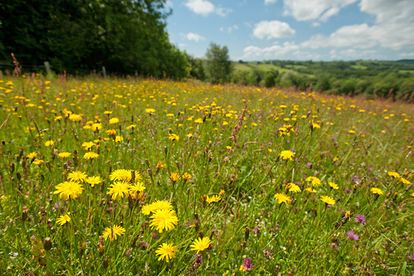 Denmark Farm Conservation Centre