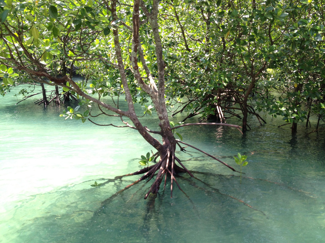 宏岛-甲米必去景点