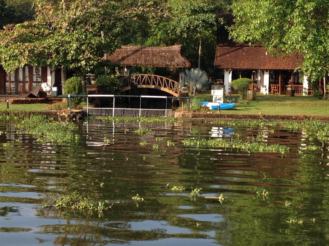 Alleppey Backwaters-阿拉普扎必去景点