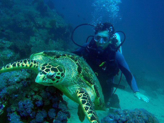 海洋驾驭潜水中心-葡多咖蕾拉必去景点