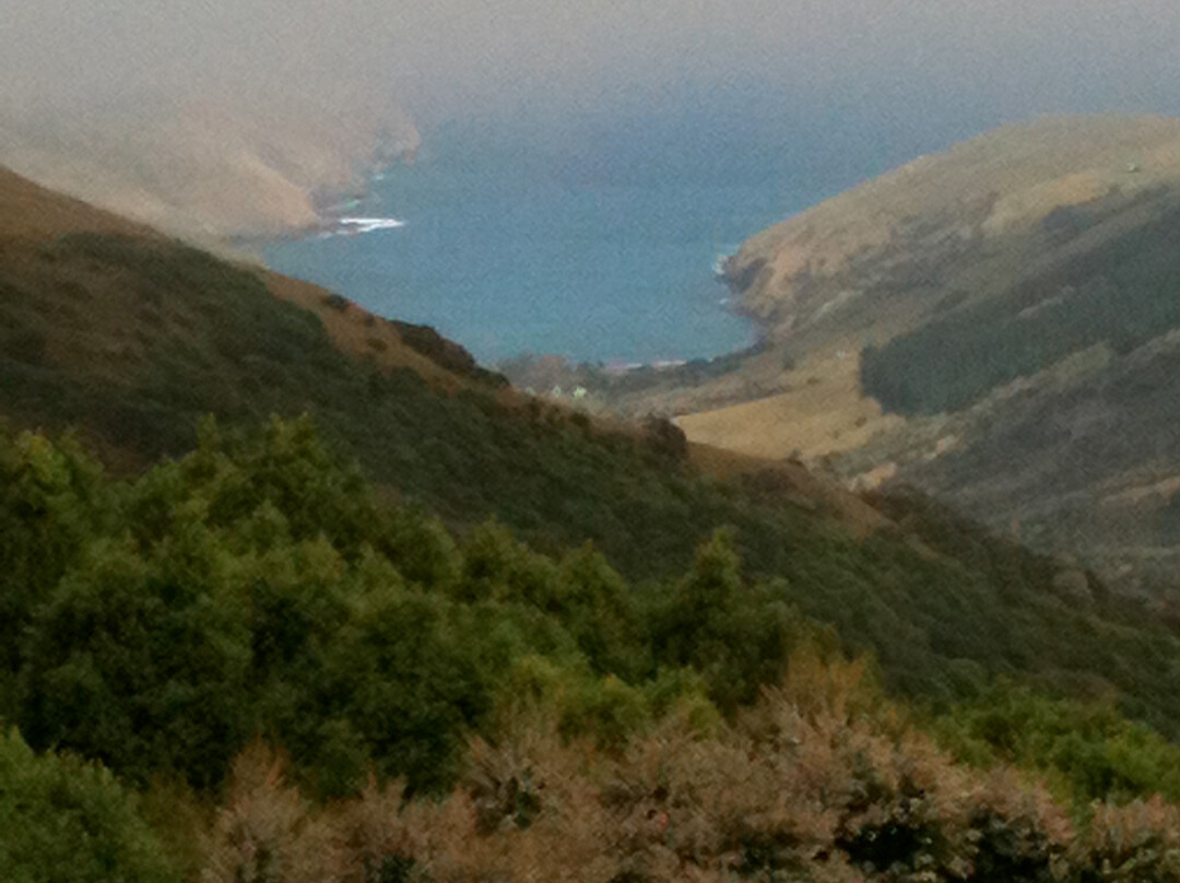 Hinewai Reserve-阿卡罗阿必去景点