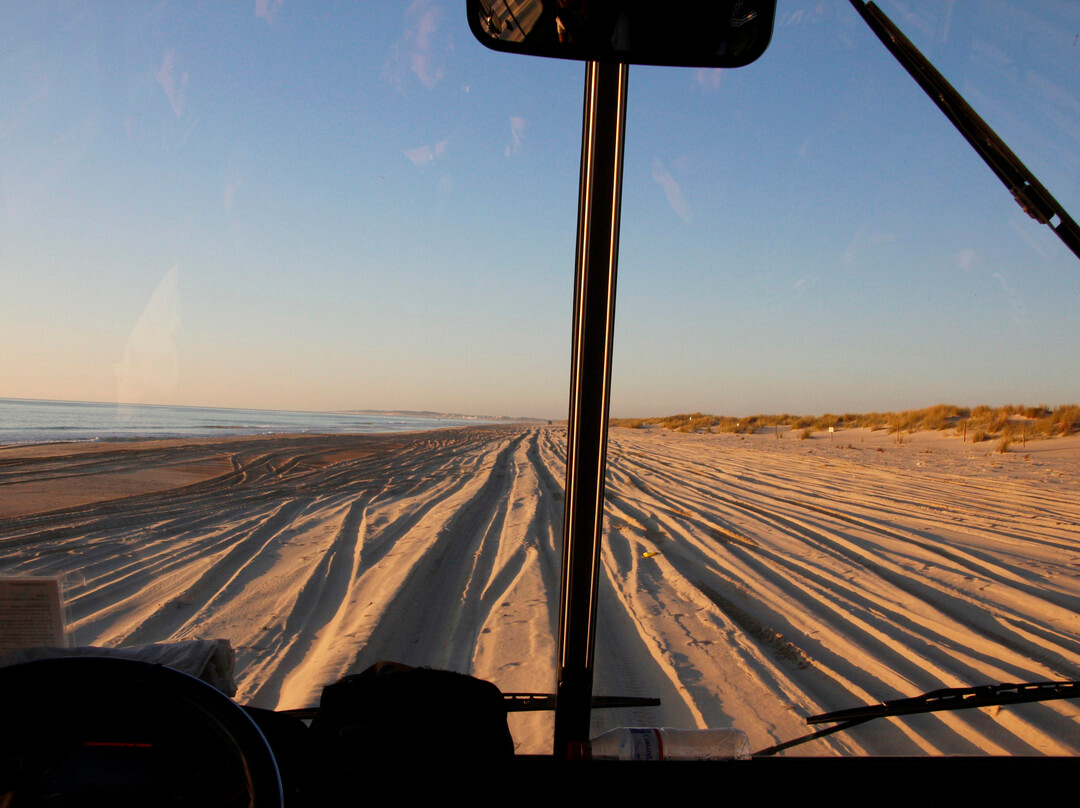 Parque Nacional de Doñana-阿尔蒙特必去景点