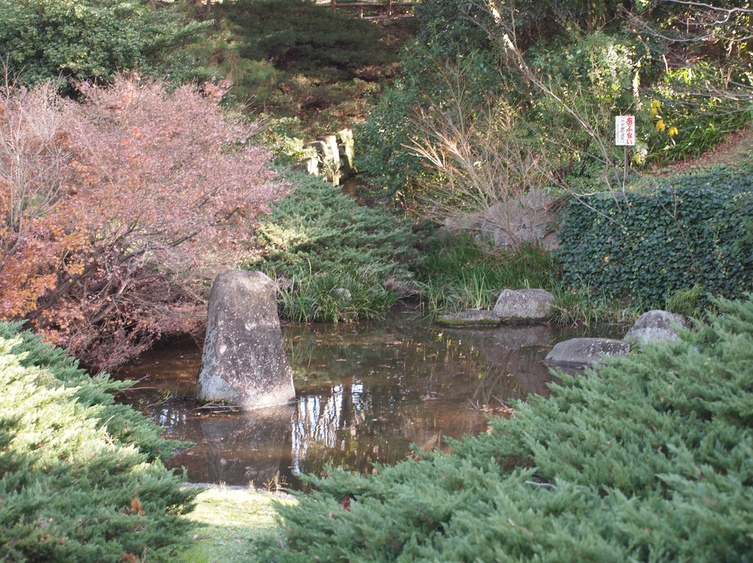 Uenodai Park景点图片