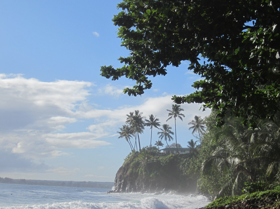 荷诺利海滨公园-希洛必去景点