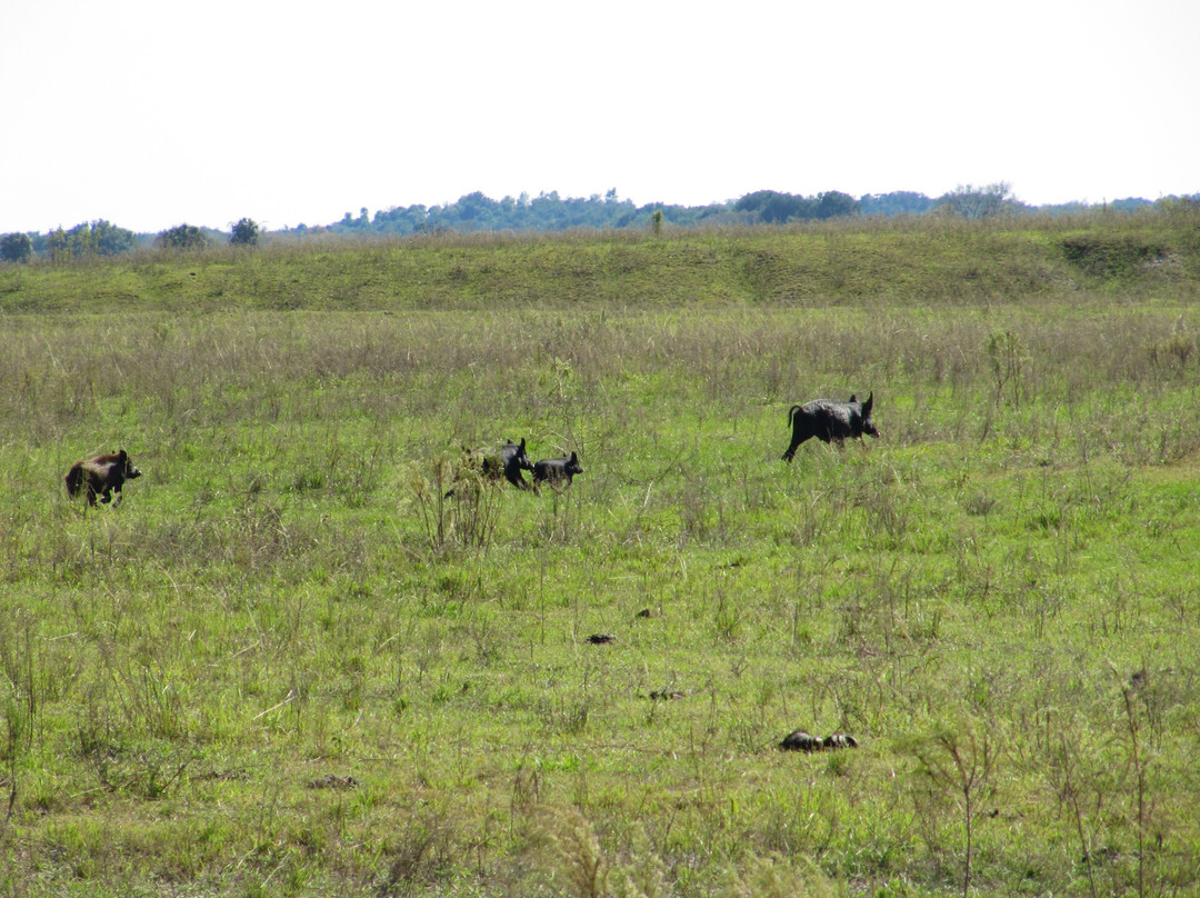KICCO Wildlife Management Area-莱克威尔士必去景点