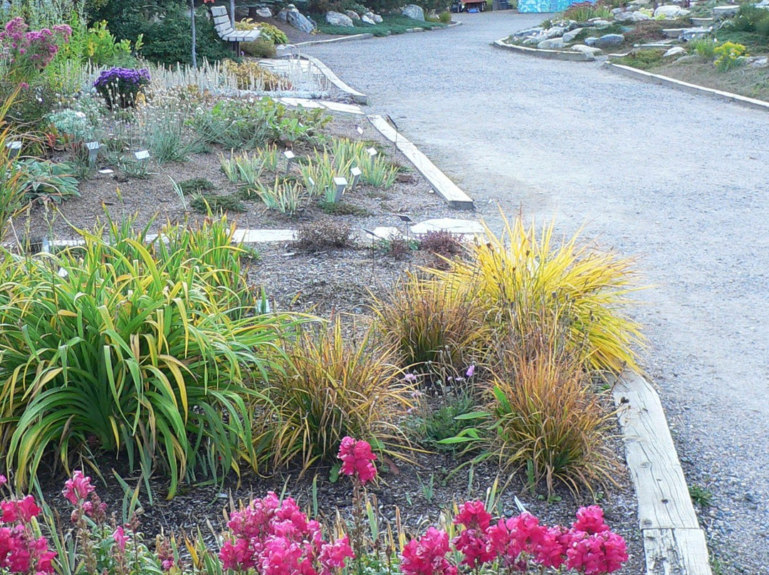 Yampa River Botanic Park-斯廷博特斯普林斯必去景点