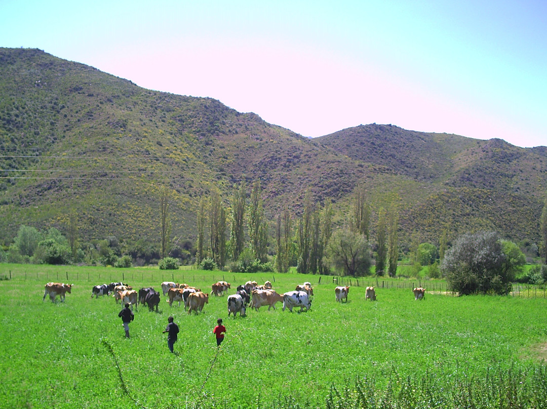 Wilgewandel Holiday Farm-奥兹洪必去景点