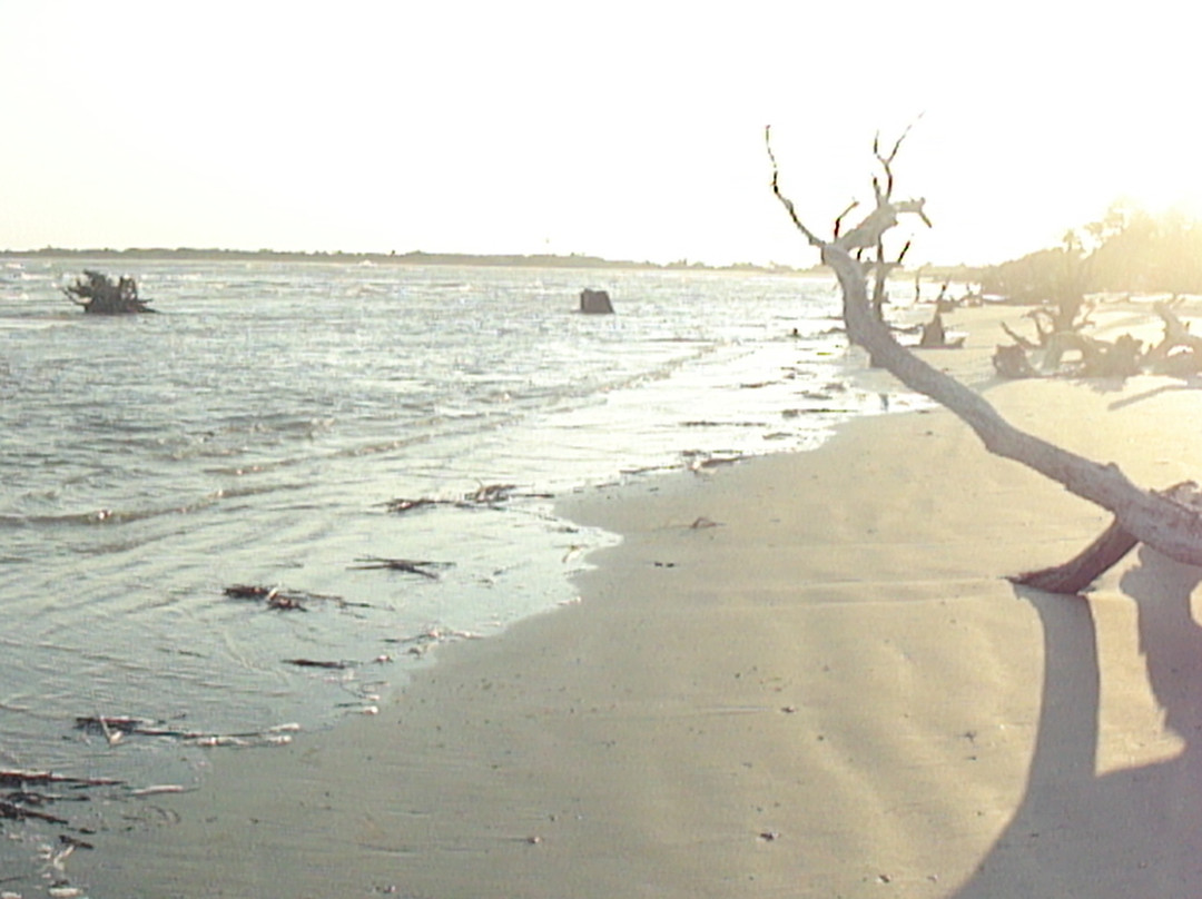 Barrier Islands Eco Tours-棕榈岛必去景点