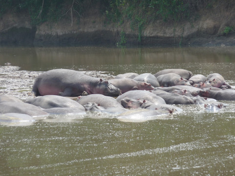 Afrika Sights and Adventures-蒙巴萨必去景点