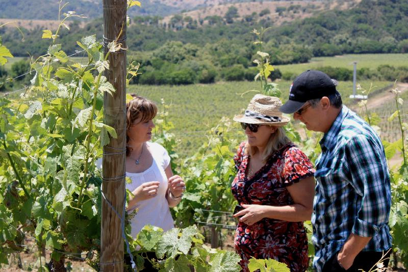Uncorked Wine Tours景点图片