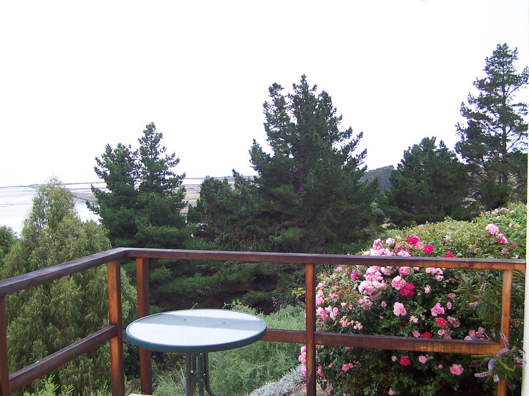 Pelorus Bridge酒店住宿-Magic View Holiday Home