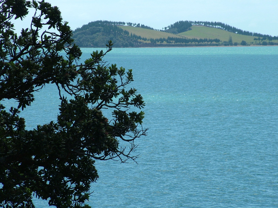 瓦卡瓦湾-奥克兰中心地区必去景点